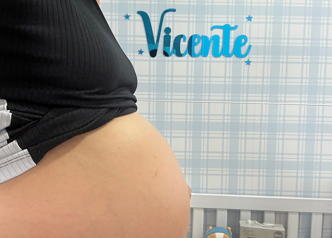 Maternidade: diário de gravidez do 1º ao 3º trimestre